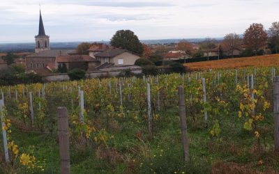 La nouvelle Équipe d’Animation Pastorale s’est réunie