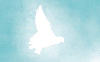 Vers la Pentecôte avec l&rsquo;Esprit Saint